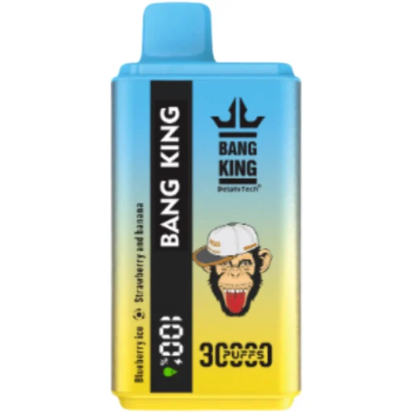 Bang King vape 30000Puff-10PCS/1 Box