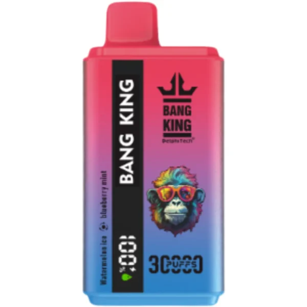 Bang King vape 30000Puff-10PCS/1 Box