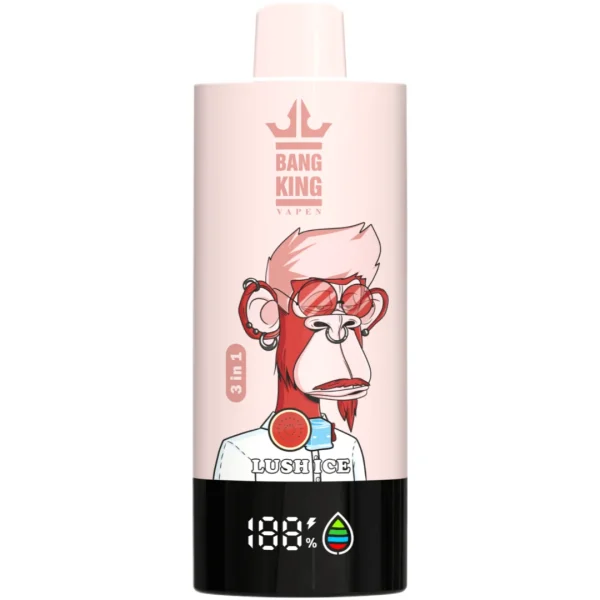 Bang King vape 85000puff-10PCS/1 Box