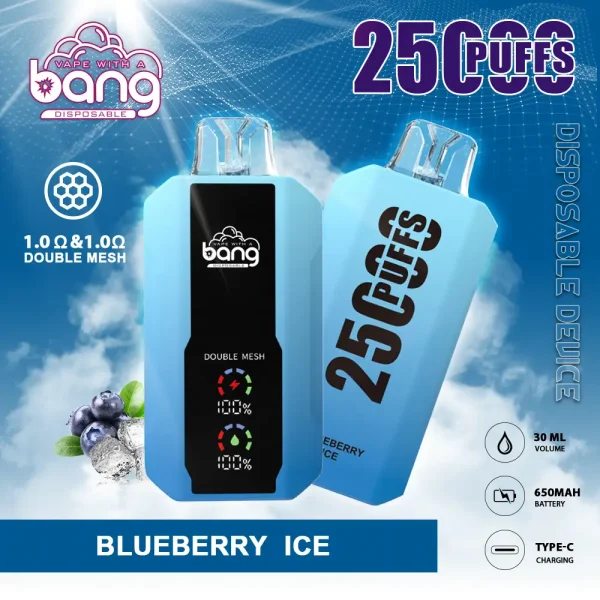 Bang vape 25000 Puff-10PCS/1 Box