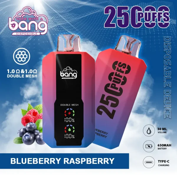Bang vape 25000 Puff-10PCS/1 Box