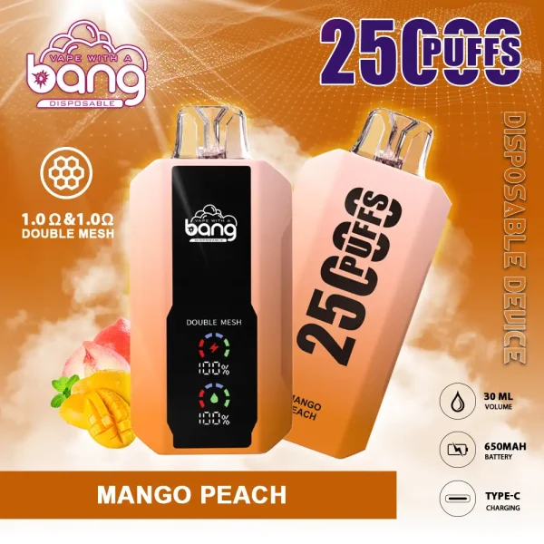 Bang vape 25000 Puff-10PCS/1 Box