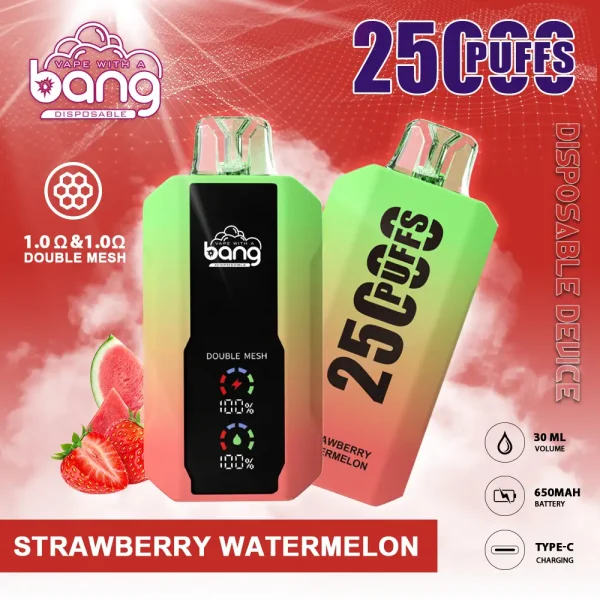 Bang vape 25000 Puff-10PCS/1 Box